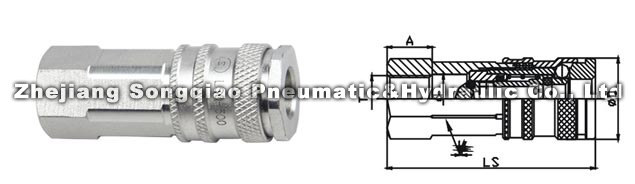 1686967849194718.jpg 120828164127329348fgvu08gtbg07.jpg